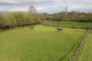 Photo 7- click for photo gallery